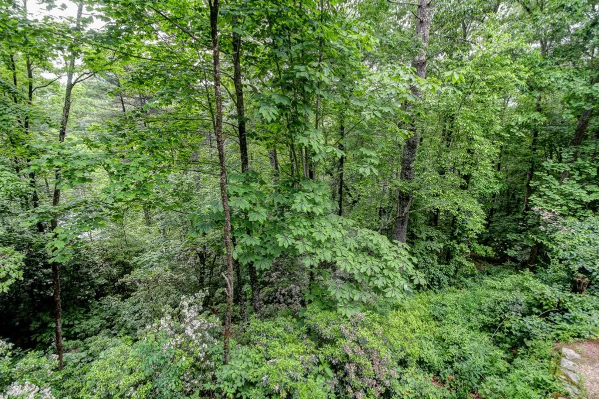 A view of lush green foliage, tall trees, and wildflowers under natural light—highlighting the property’s proximity to nature and the tranquil environment. This image exudes a serene mood, inviting guests to enjoy nearby trails and scenic beauty.